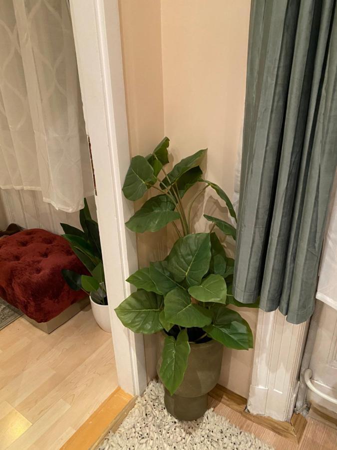 Jungle Story Apartment By Millenaris Park With Free Parking 布达佩斯 外观 照片