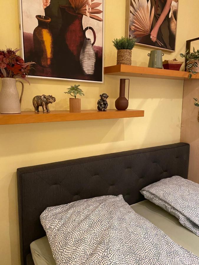 Jungle Story Apartment By Millenaris Park With Free Parking 布达佩斯 外观 照片